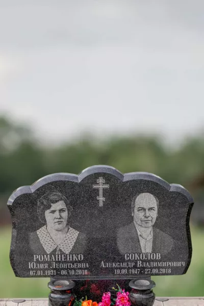 Фигурный Георгин 591